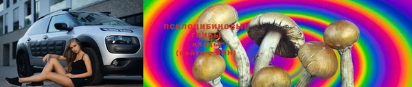 эйфоретик Алексин